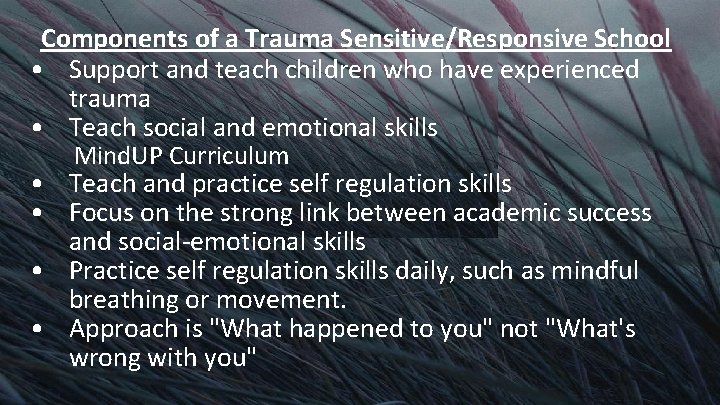 Components of a Trauma Sensitive/Responsive School • Support and teach children who have experienced