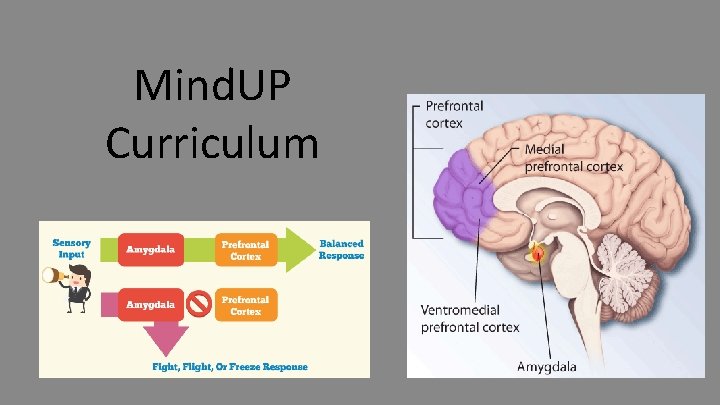 Mind. UP Curriculum 30 