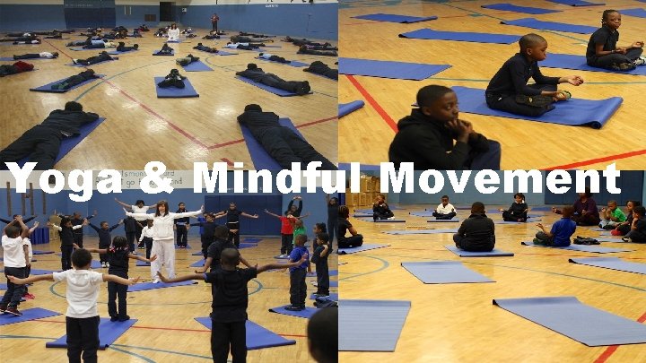 Yoga & Mindful Movement 31 