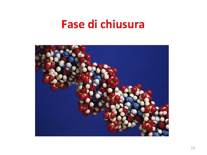 Fase di chiusura 13 Fase di chiusura 13