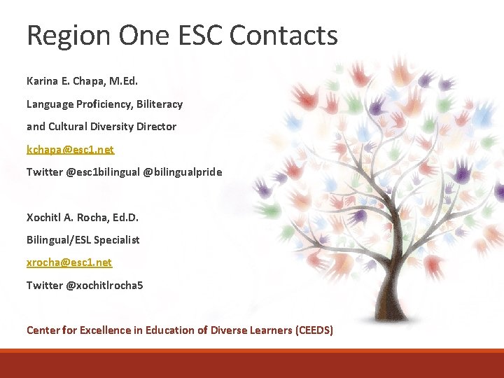Region One ESC Contacts Karina E. Chapa, M. Ed. Language Proficiency, Biliteracy and Cultural