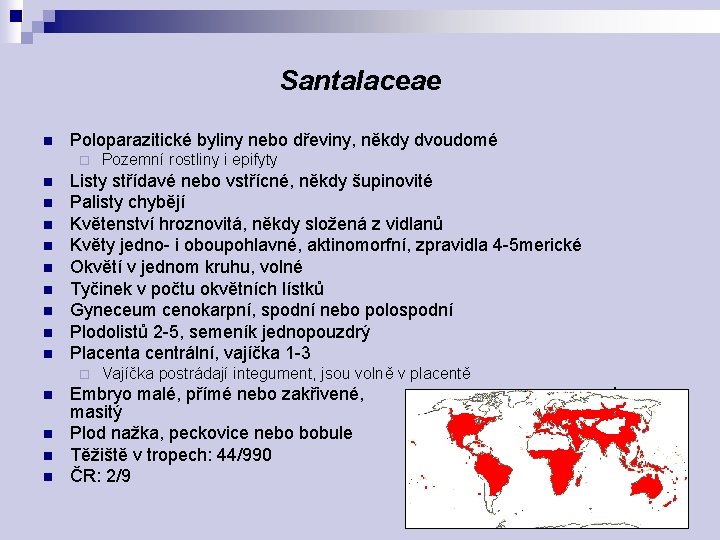 Santalaceae n Poloparazitické byliny nebo dřeviny, někdy dvoudomé ¨ n n n n n