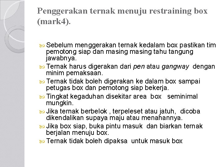 Penggerakan ternak menuju restraining box (mark 4). Sebelum menggerakan ternak kedalam box pastikan tim