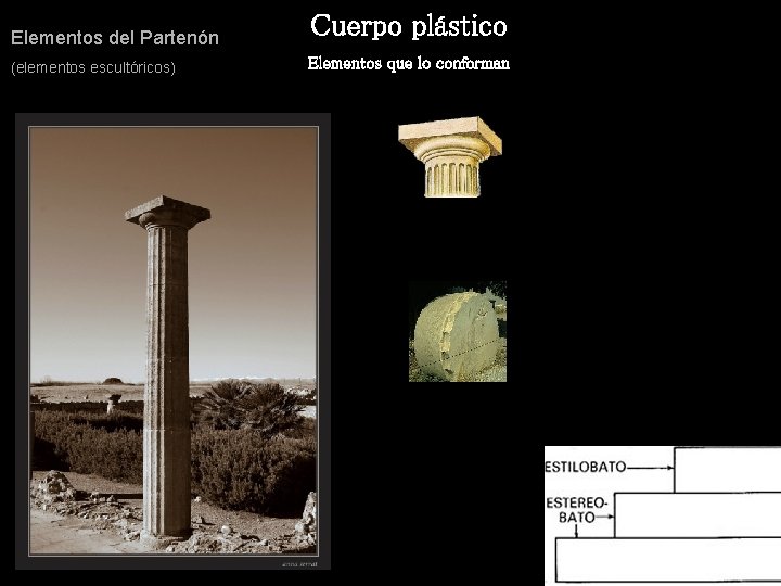 Elementos del Partenón (elementos escultóricos) Cuerpo plástico Elementos que lo conforman 