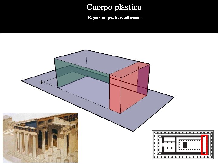 Cuerpo plástico Espacios que lo conforman 