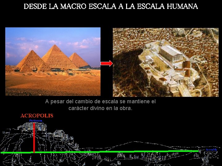 DESDE LA MACRO ESCALA A LA ESCALA HUMANA A pesar del cambio de escala