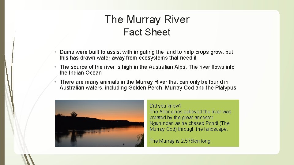 The Murray River Fact Sheet • Dams were built to assist with irrigating the