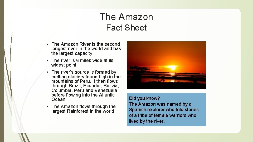 The Amazon Fact Sheet • The Amazon River is the second longest river in