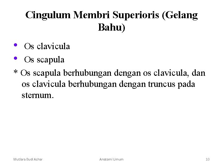 Cingulum Membri Superioris (Gelang Bahu) • Os clavicula • Os scapula * Os scapula Cingulum Membri Superioris (Gelang Bahu) • Os clavicula • Os scapula * Os scapula