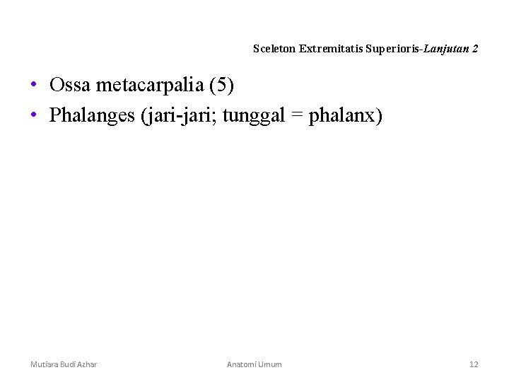 Sceleton Extremitatis Superioris-Lanjutan 2 • Ossa metacarpalia (5) • Phalanges (jari-jari; tunggal = phalanx) Sceleton Extremitatis Superioris-Lanjutan 2 • Ossa metacarpalia (5) • Phalanges (jari-jari; tunggal = phalanx)