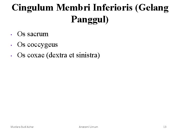 Cingulum Membri Inferioris (Gelang Panggul) • • • Os sacrum Os coccygeus Os coxae Cingulum Membri Inferioris (Gelang Panggul) • • • Os sacrum Os coccygeus Os coxae