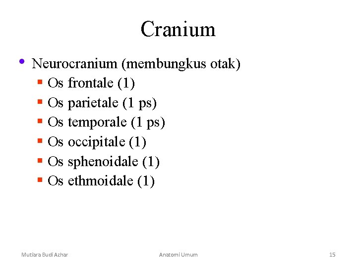 Cranium • Neurocranium (membungkus otak) § Os frontale (1) § Os parietale (1 ps) Cranium • Neurocranium (membungkus otak) § Os frontale (1) § Os parietale (1 ps)