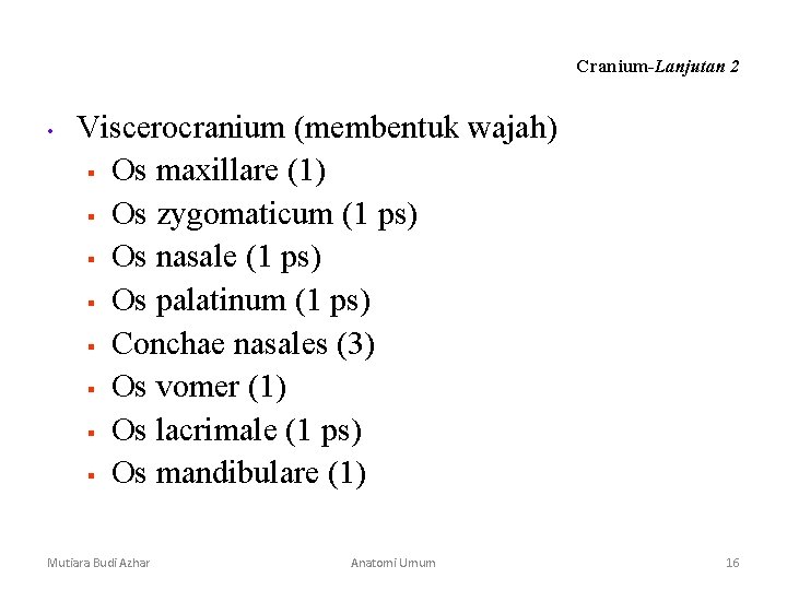Cranium-Lanjutan 2 • Viscerocranium (membentuk wajah) § Os maxillare (1) § Os zygomaticum (1 Cranium-Lanjutan 2 • Viscerocranium (membentuk wajah) § Os maxillare (1) § Os zygomaticum (1