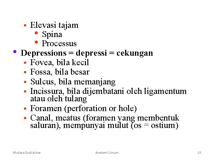 Elevasi tajam • Spina • Processus Depressions = depressi = cekungan § Fovea, bila Elevasi tajam • Spina • Processus Depressions = depressi = cekungan § Fovea, bila