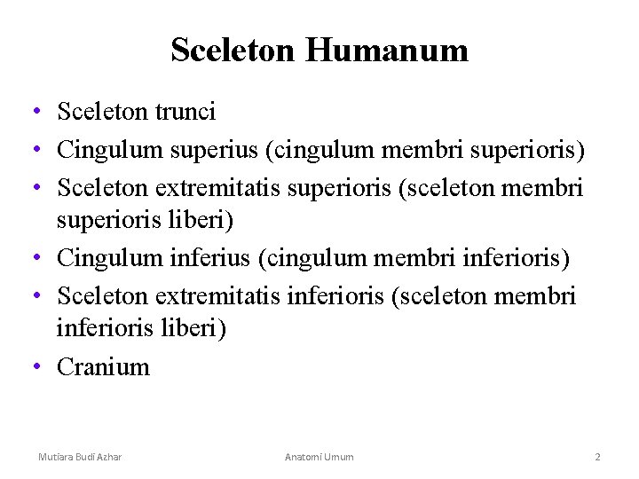 Sceleton Humanum • Sceleton trunci • Cingulum superius (cingulum membri superioris) • Sceleton extremitatis Sceleton Humanum • Sceleton trunci • Cingulum superius (cingulum membri superioris) • Sceleton extremitatis