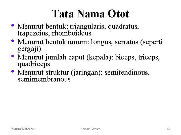Tata Nama Otot • Menurut bentuk: triangularis, quadratus, trapezeius, rhomboideus • Menurut bentuk umum: Tata Nama Otot • Menurut bentuk: triangularis, quadratus, trapezeius, rhomboideus • Menurut bentuk umum: