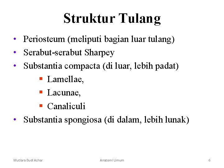 Struktur Tulang • Periosteum (meliputi bagian luar tulang) • Serabut-serabut Sharpey • Substantia compacta Struktur Tulang • Periosteum (meliputi bagian luar tulang) • Serabut-serabut Sharpey • Substantia compacta