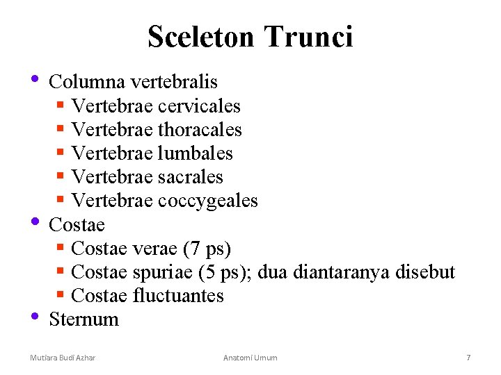 Sceleton Trunci • Columna vertebralis • • § Vertebrae cervicales § Vertebrae thoracales § Sceleton Trunci • Columna vertebralis • • § Vertebrae cervicales § Vertebrae thoracales §