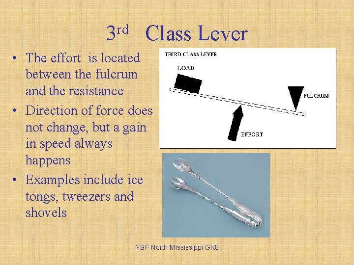 3 rd Class Lever • The effort is located between the fulcrum and the