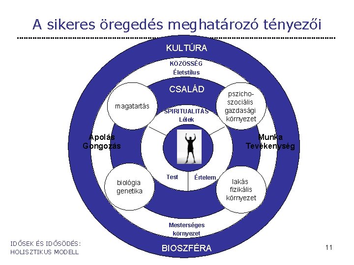 A sikeres öregedés meghatározó tényezői KULTÚRA KÖZÖSSÉG Életstílus CSALÁD magatartás SPIRITUALITÁS Lélek Ápolás Gongozás