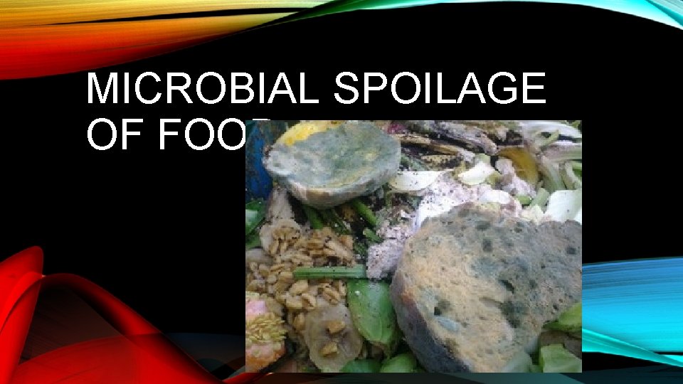 MICROBIAL SPOILAGE OF FOOD 