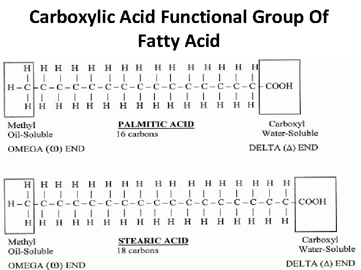 Carboxylic Acid Functional Group Of Fatty Acid 