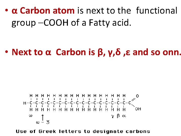  • α Carbon atom is next to the functional group –COOH of a