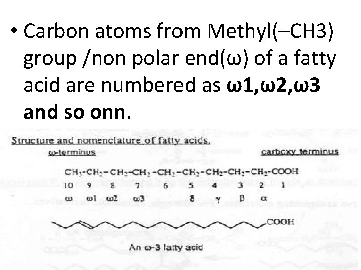  • Carbon atoms from Methyl(–CH 3) group /non polar end(ω) of a fatty