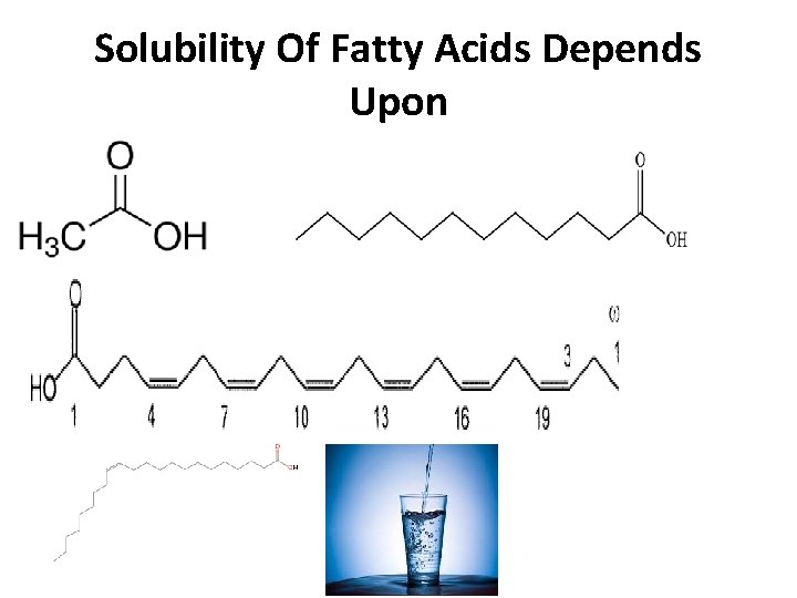 Solubility Of Fatty Acids Depends Upon 