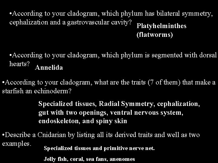  • According to your cladogram, which phylum has bilateral symmetry, cephalization and a