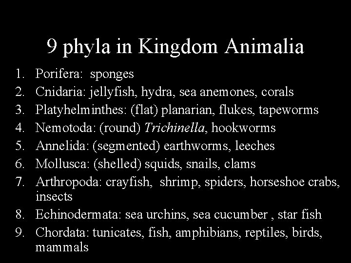 9 phyla in Kingdom Animalia 1. 2. 3. 4. 5. 6. 7. Porifera: sponges