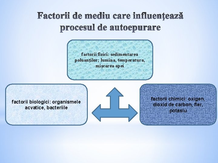 factorii fizici: sedimentarea poluanţilor; lumina, temperatura, mişcarea apei factorii biologici: organismele acvatice, bacteriile factorii factorii fizici: sedimentarea poluanţilor; lumina, temperatura, mişcarea apei factorii biologici: organismele acvatice, bacteriile factorii