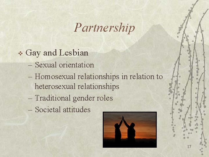 Partnership v Gay and Lesbian – Sexual orientation – Homosexual relationships in relation to