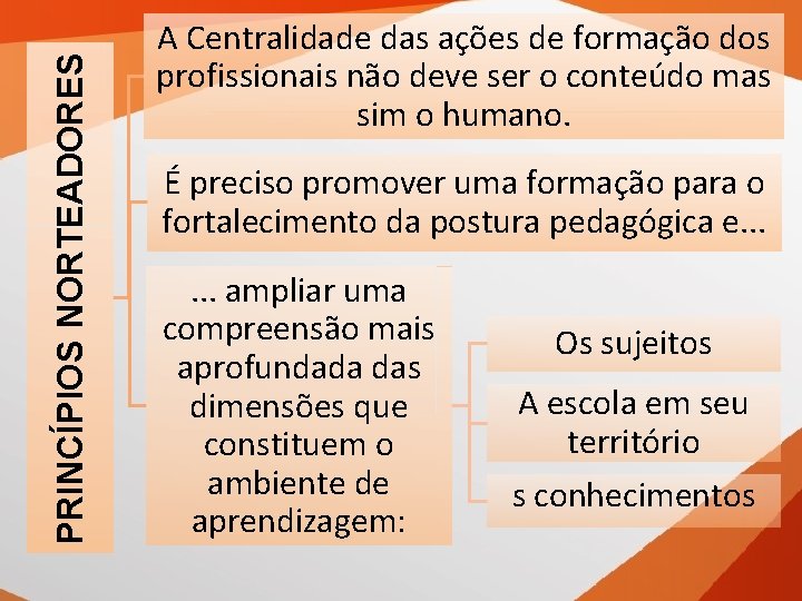PRINCÍPIOS NORTEADORES A Centralidade das ações de formação dos profissionais não deve ser o