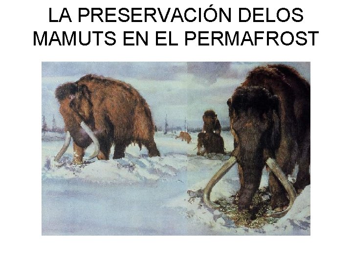 LA PRESERVACIÓN DELOS MAMUTS EN EL PERMAFROST 