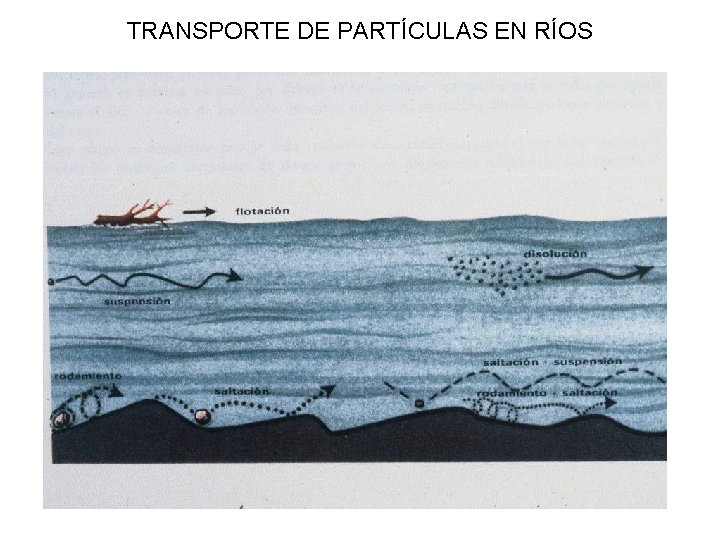 TRANSPORTE DE PARTÍCULAS EN RÍOS 