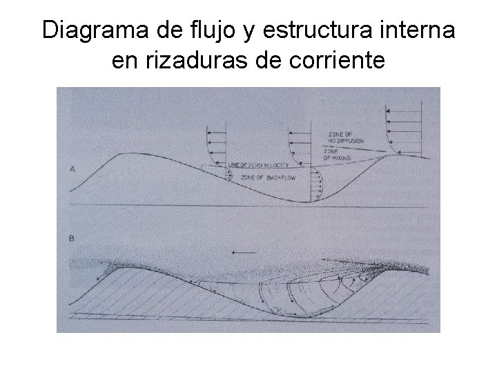 Diagrama de flujo y estructura interna en rizaduras de corriente 