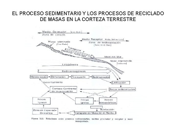 EL PROCESO SEDIMENTARI 0 Y LOS PROCESOS DE RECICLADO DE MASAS EN LA CORTEZA