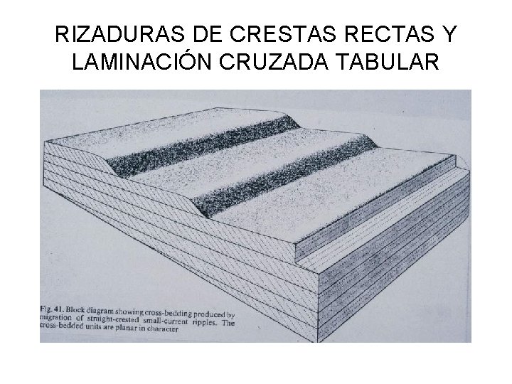 RIZADURAS DE CRESTAS RECTAS Y LAMINACIÓN CRUZADA TABULAR 