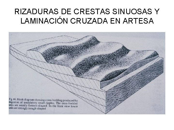 RIZADURAS DE CRESTAS SINUOSAS Y LAMINACIÓN CRUZADA EN ARTESA 