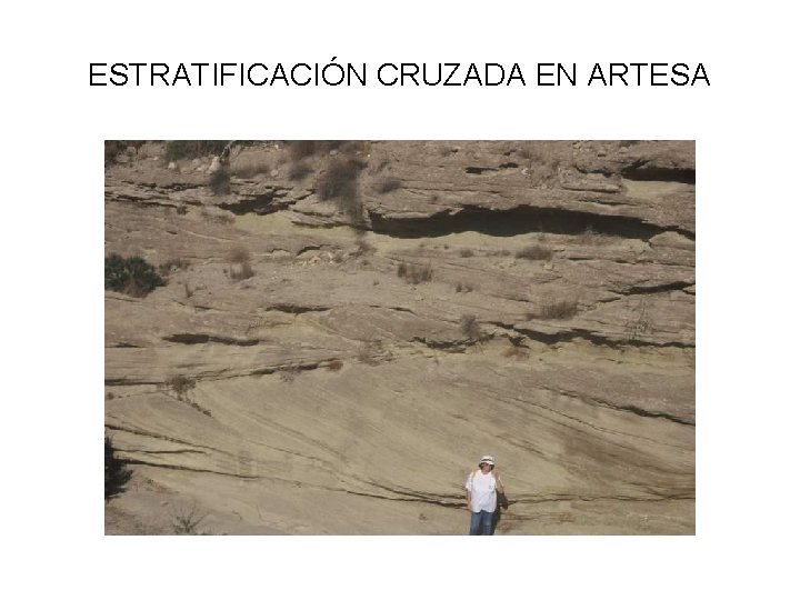 ESTRATIFICACIÓN CRUZADA EN ARTESA 