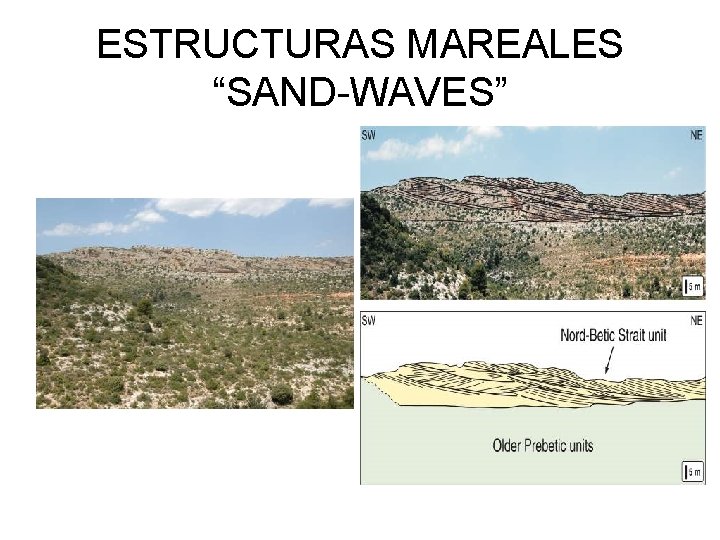 ESTRUCTURAS MAREALES “SAND-WAVES” 