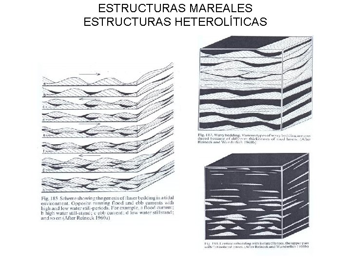 ESTRUCTURAS MAREALES ESTRUCTURAS HETEROLÍTICAS 
