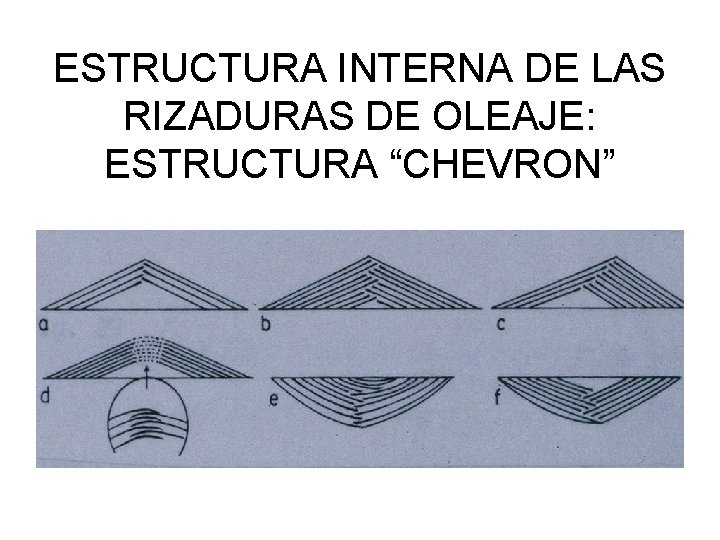 ESTRUCTURA INTERNA DE LAS RIZADURAS DE OLEAJE: ESTRUCTURA “CHEVRON” 