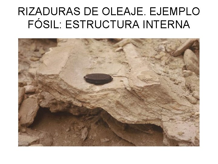 RIZADURAS DE OLEAJE. EJEMPLO FÓSIL: ESTRUCTURA INTERNA 