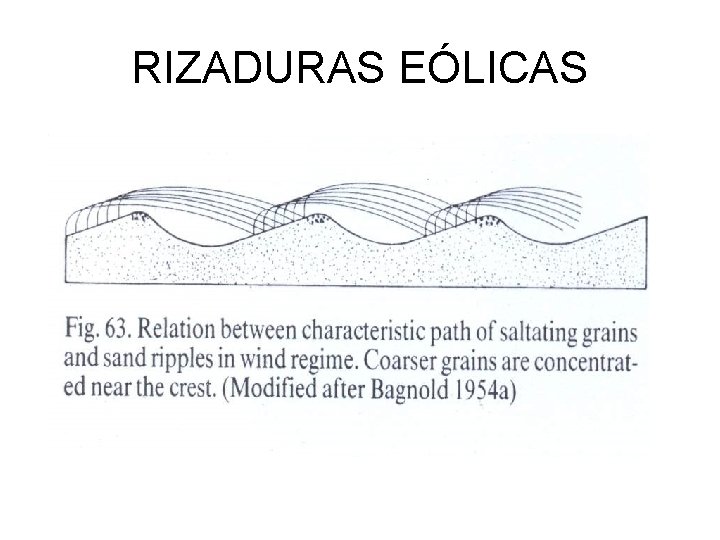RIZADURAS EÓLICAS 