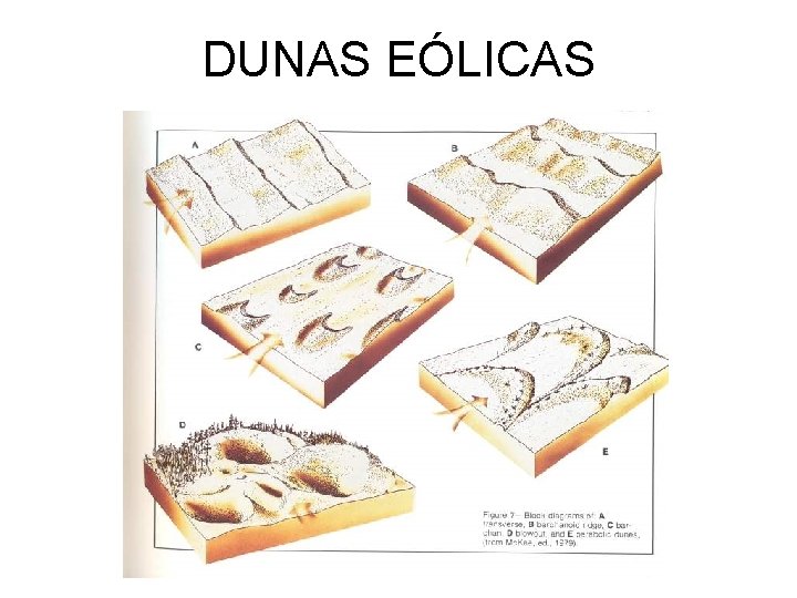 DUNAS EÓLICAS 