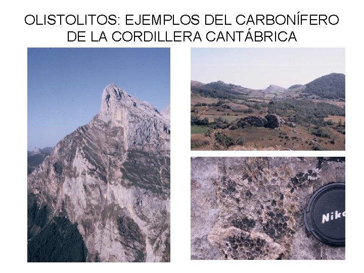 OLISTOLITOS: EJEMPLOS DEL CARBONÍFERO DE LA CORDILLERA CANTÁBRICA 