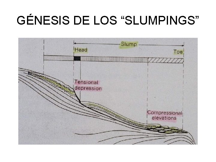 GÉNESIS DE LOS “SLUMPINGS” 