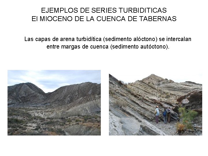 EJEMPLOS DE SERIES TURBIDITICAS El MIOCENO DE LA CUENCA DE TABERNAS Las capas de